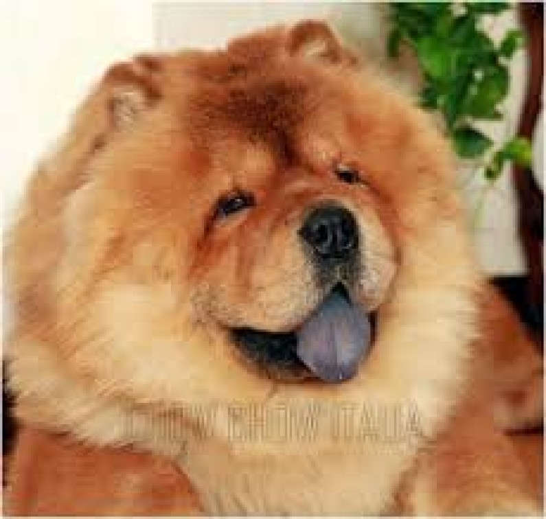 BassBet Casino Interface Visualisierung