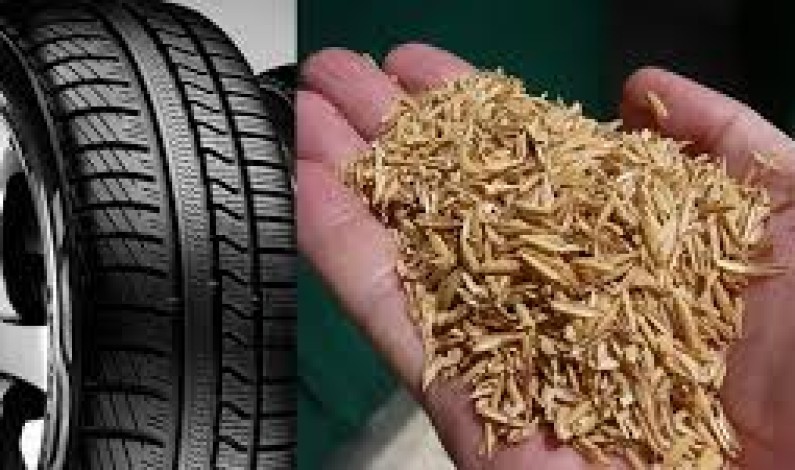 Pneumatici ecologici e performanti, la sfida di Michelin per il futuro Pneumatici ecologici e performanti, la sfida di Michelin per il futuro