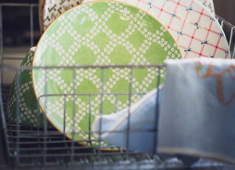 Piatti biodegradabili: cosa bisogna sapere su questi prodotti eco-friendly Piatti biodegradabili: cosa bisogna sapere su questi prodotti eco-friendly