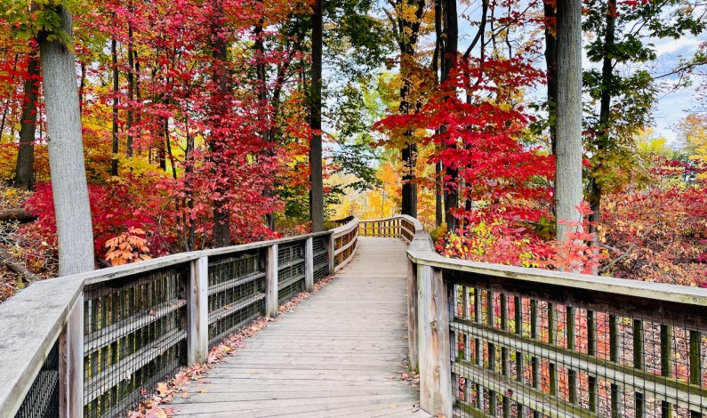 Guida completa sulle toupie per legno: caratteristiche e quali impostazioni bisogna prestare attenzione per un risultato ottimale Guida completa sulle toupie per legno: caratteristiche e quali impostazioni bisogna prestare attenzione per un risultato ottimale