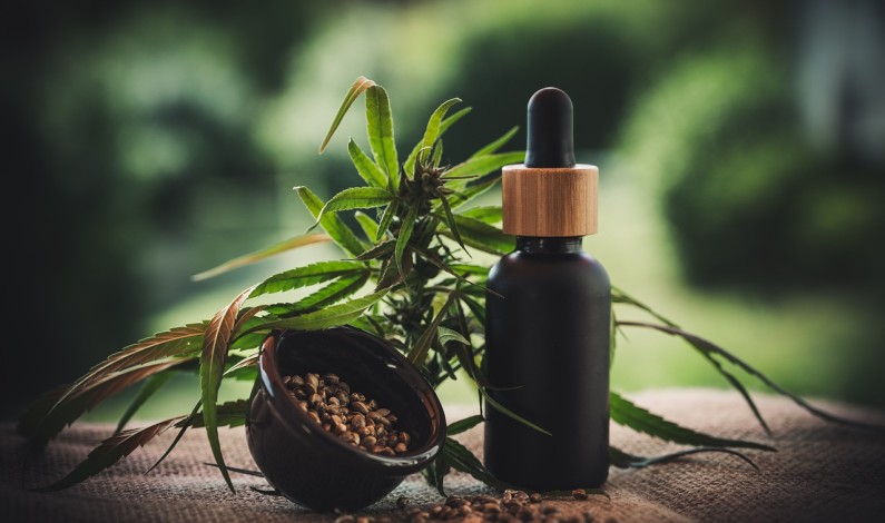 Dalla chemioterapia alle cellule tumorali: come il CBD sta rivoluzionando l’approccio al cancro Dalla chemioterapia alle cellule tumorali: come il CBD sta rivoluzionando l’approccio al cancro
