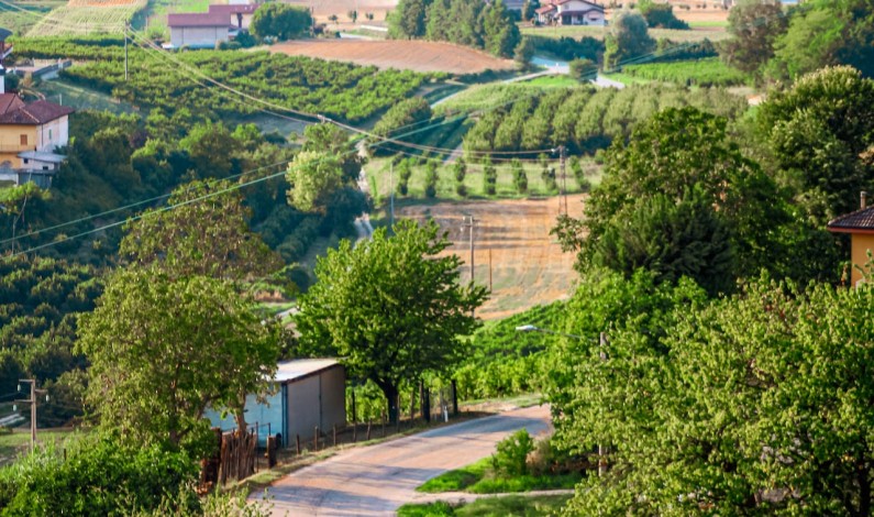 Cosa fare e cosa vedere nelle Langhe e Roero Cosa fare e cosa vedere nelle Langhe e Roero