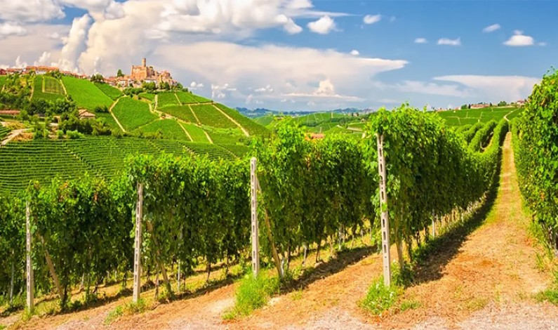 Tour nelle Langhe con e-bike: cosa vedere e consigli Tour nelle Langhe con e-bike: cosa vedere e consigli