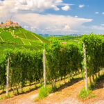 langa-del-barolo-sud