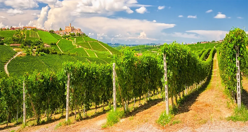 langa-del-barolo-sud