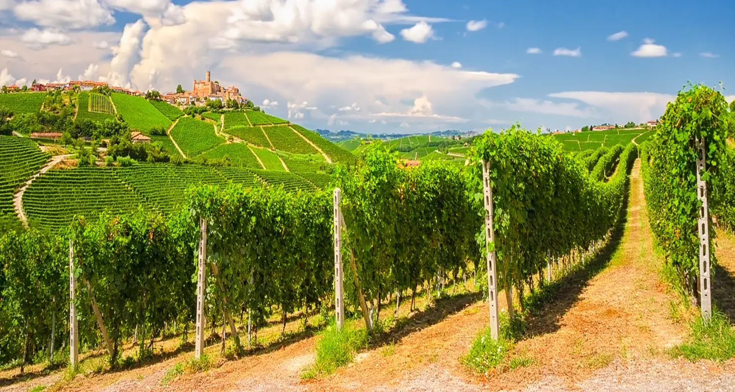 langa-del-barolo-sud